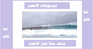 فيديو إعصار شاهين