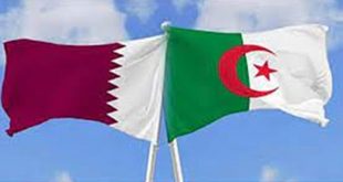 موعد مباراة الجزائر قطر
