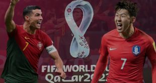 بث مباشر مباراة البرتغال ضد كوريا الجنوبية اليوم